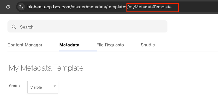 Metadata name in Admin Console
